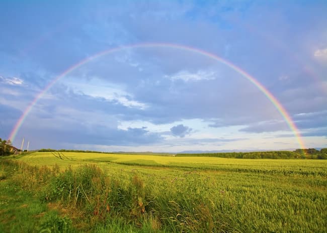 Los Colores del Arco Iris